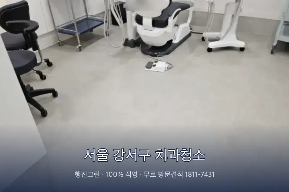 서울 강서구 치과청소 치과 진료실 바닥과 집기 청소