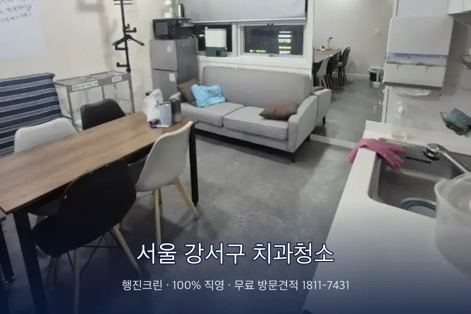 서울 강서구 치과청소 병원 휴게 공간 의자 소독