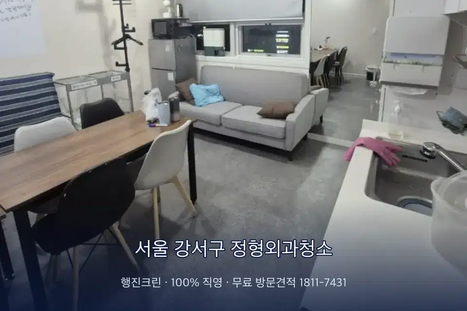 서울 강서구 정형외과청소 병원 휴게 공간 의자 소독