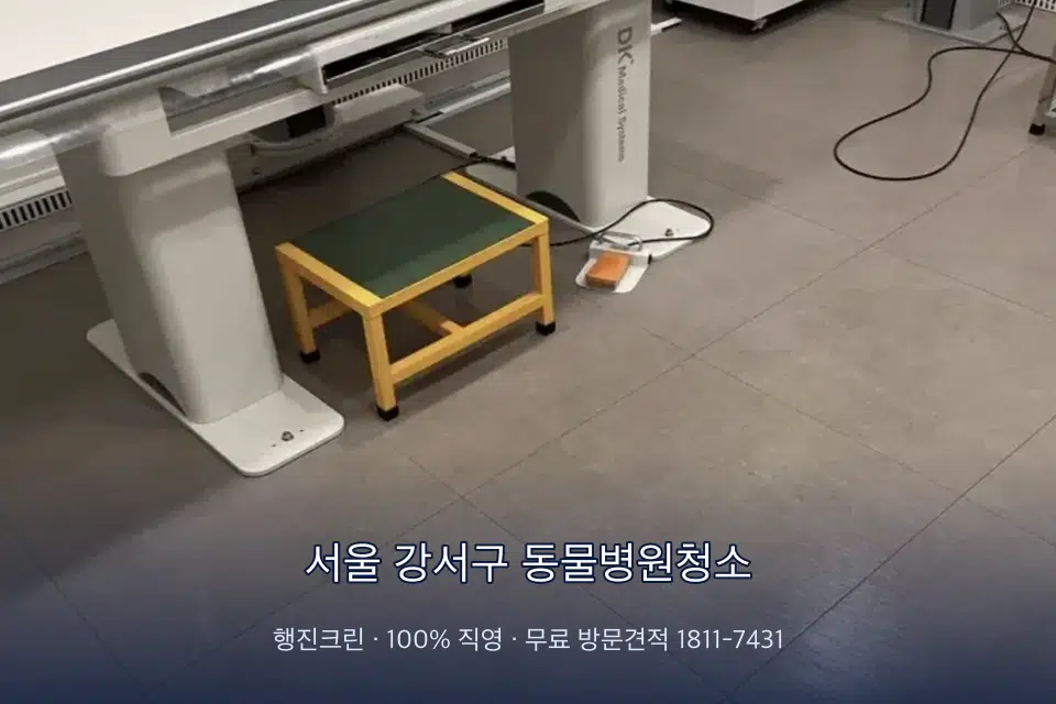 서울 강서구 동물병원청소 영상의학실 바닥 물걸레 작업