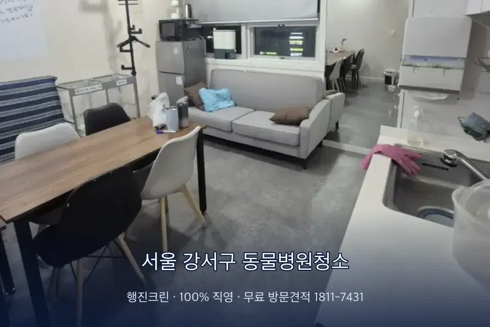서울 강서구 동물병원청소 병원 휴게 공간 의자 소독