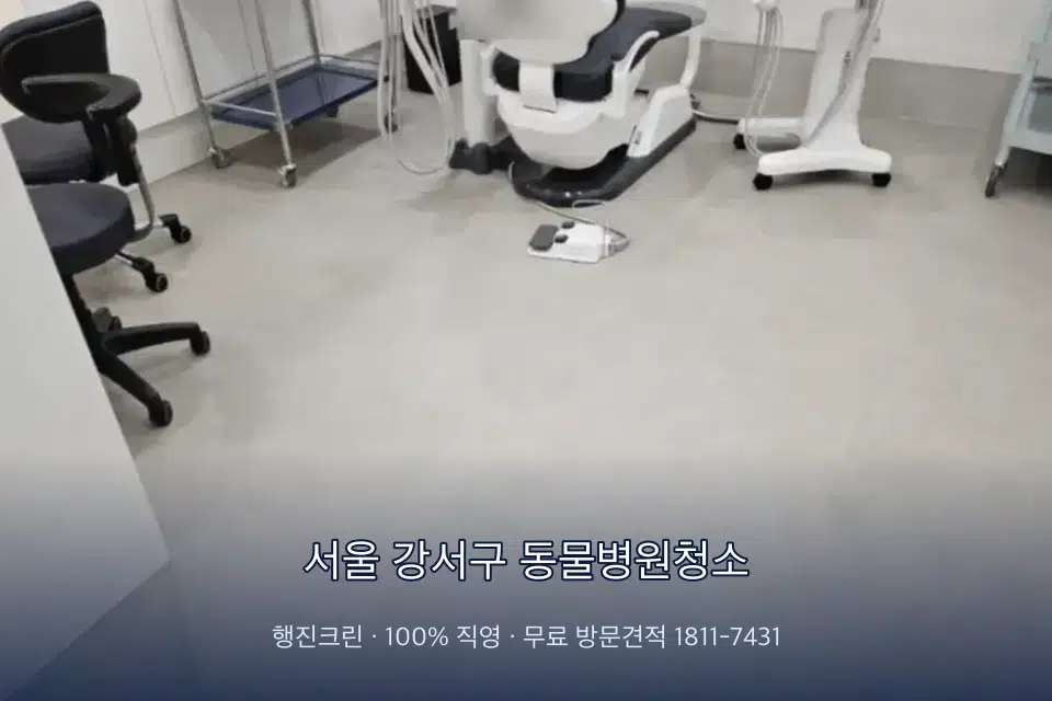 서울 강서구 동물병원청소 치과 진료실 바닥과 집기 청소
